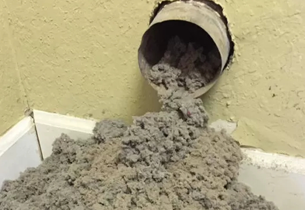 Dryer duct cleaning near me in Tampa