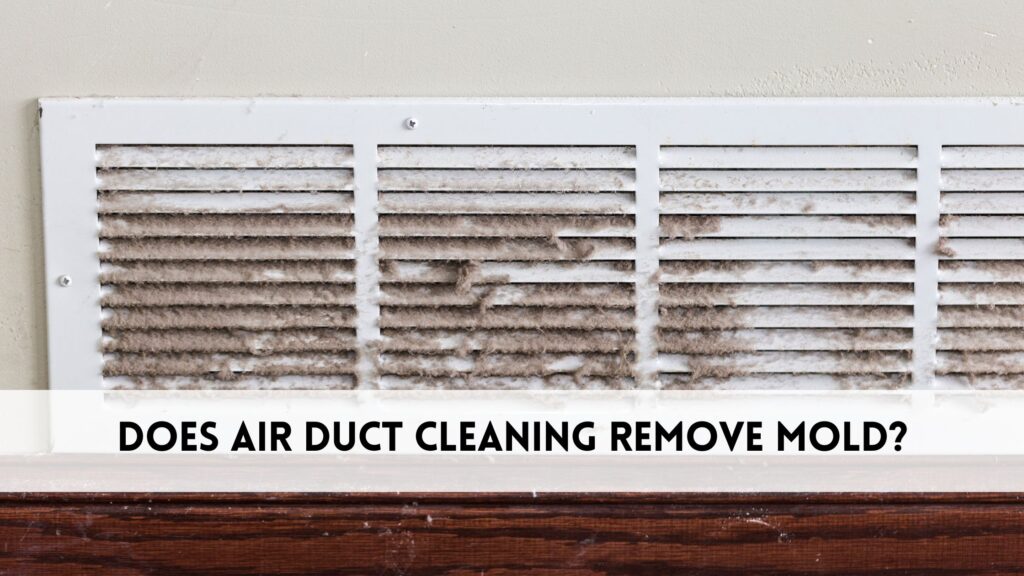 Does air duct cleaning remove mold