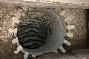 mold